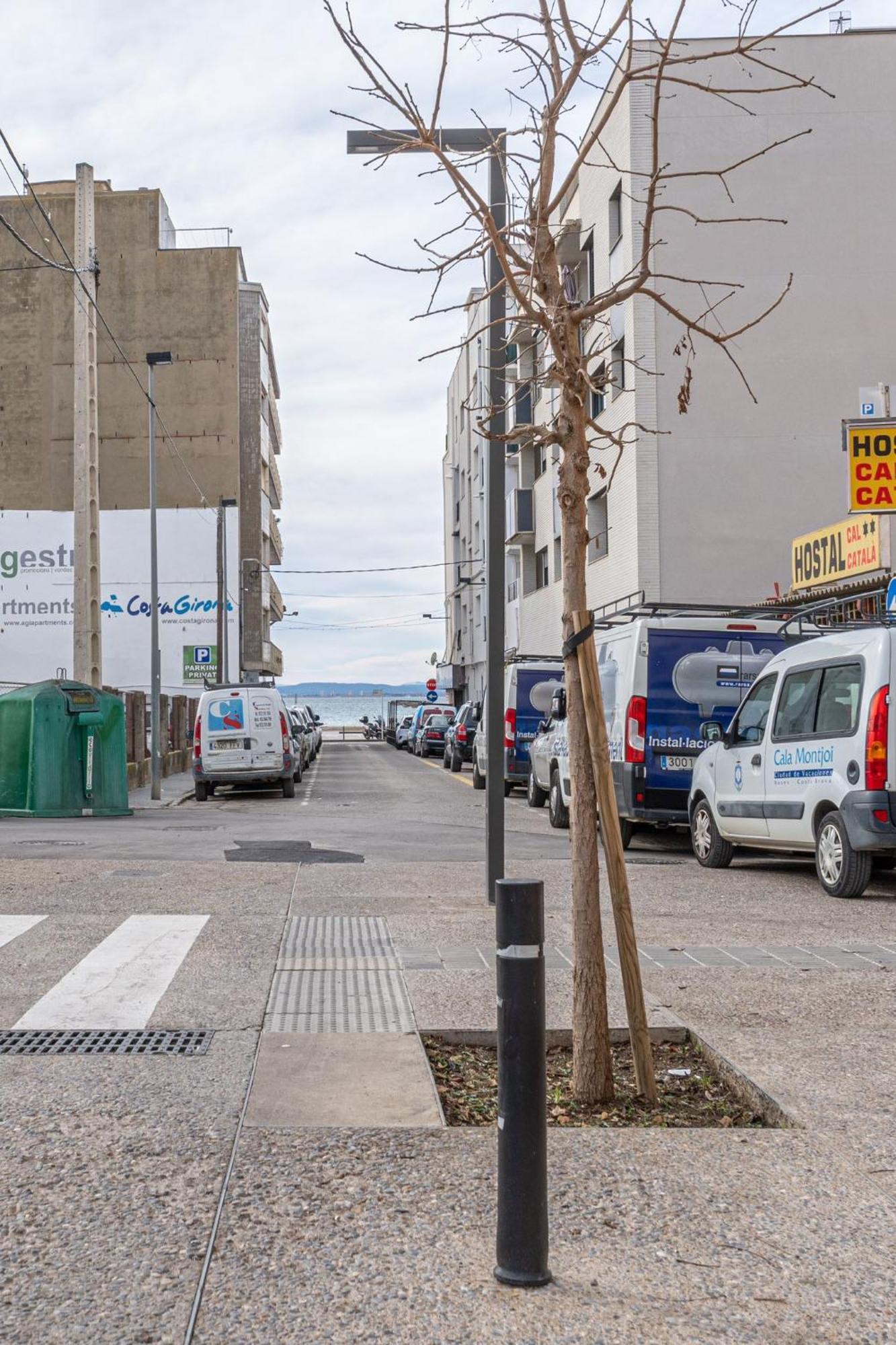 Milenial Immo Llotja A 100 Mts De La Playa De Apartment Roses